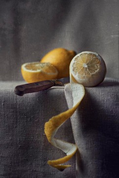 06-citrons-01